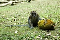 Abe Bohol_PHI4146
